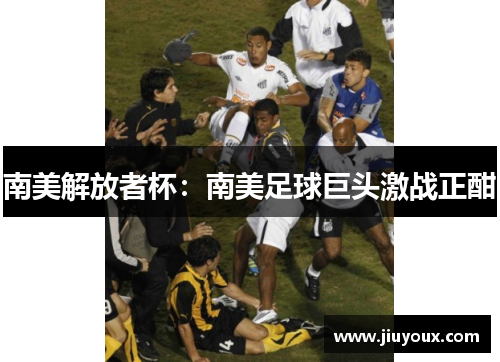 南美解放者杯：南美足球巨头激战正酣